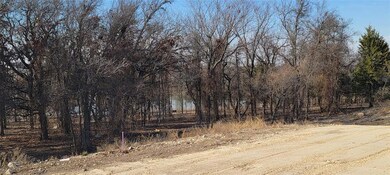 1029 Boulder Rd, Weatherford, TX 76085 - photo 7