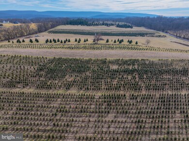 0 unit WVJF2010458, Shepherdstown, WV 25443 - photo 2