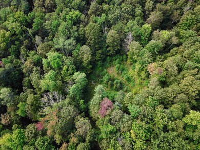 2309 Sherman Hollow Rd, Huntington, VT 05462 - photo 6