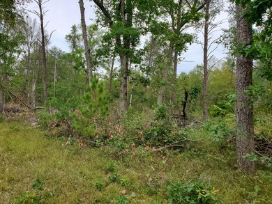 PAR B Peacock Trail, Baldwin, MI 49304 - photo 2