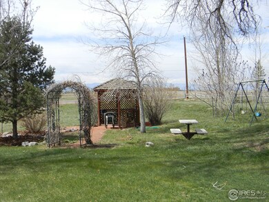 Gorgeous Yard