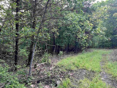 0 Meadow Creek Dr unit 24016886, Harrison, AR 72601 - photo 6