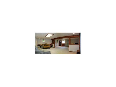 Large Rec Room in Lower Level with Garden Windows!