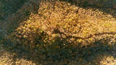 0 Rock Springs Rd unit RTC3049751, Celina, TN 38551 - photo 2