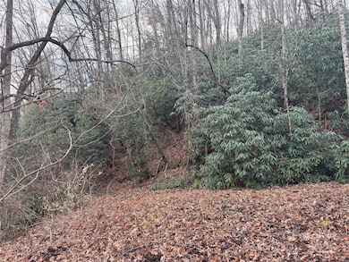 2664 N Carolina 9, Black Mountain, NC 28711 - photo 4