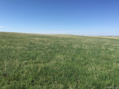 0 Murphy Rd, Calhan, CO 80808 - photo 7