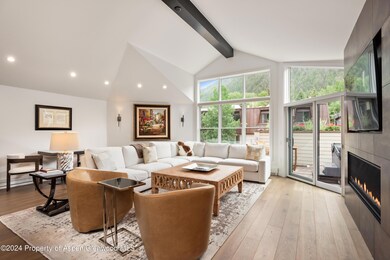 927 E Durant Ave unit 3, Aspen, CO 81611 - photo 2