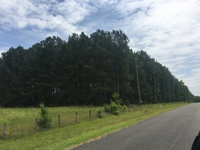 14523 Beckenridge Dr, Upatoi, GA 31829 - photo 2