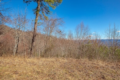0 Spring Pond Trail, Cana, VA 24317 - photo 3