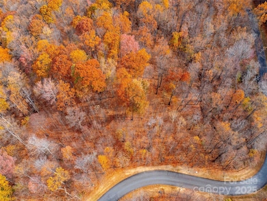 Lot 2110 Harm Creek Loop, Mill Spring, NC 28756 - photo 2