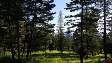 168 Torto Loop, Kila, MT 59920 - photo 2