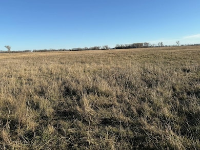 160.52± Acres Holt County, Stuart, NE 68780 - photo 2