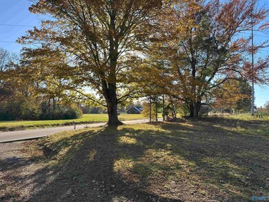 3839 County Road 88, Pisgah, AL 35765 - photo 6