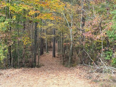 0 Cr 472 unit 37260, Meridian, MS 39301 - photo 2