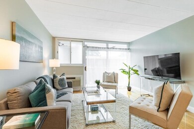 345 Harvard St unit 3C, Cambridge, MA 02138 - photo 5