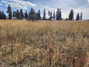 20251110204343644298000000