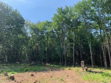 image12