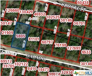 15962 Salado Dr, Temple, TX 76502 - photo 4