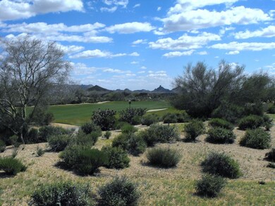 Lot 339 Pic 3