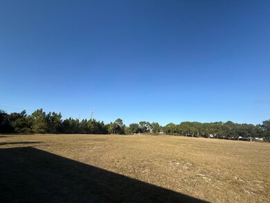 0 Forest Rd, Spring Hill, FL 34606 - photo 6