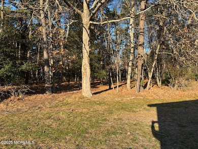 32 Constitution Blvd, Manchester Township, NJ 08759 - photo 7