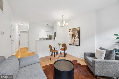 2016 Christian St unit A, Philadelphia, PA 19146 - photo 4