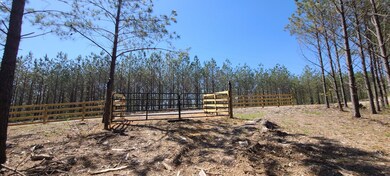 355 Hillbrook Dr, Linden, TN 37096 - photo 3