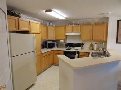 4705 Inverness St, Dexter, MI 48130 - photo 4