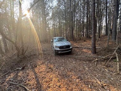 0 Stella Lockard Rd, Cordova, AL 35550 - photo 3