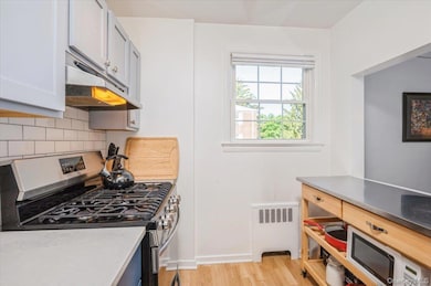 737 N Broadway unit 2D, Hastings On Hudson, NY 10706 - photo 4