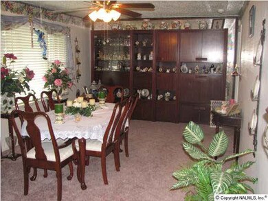 Large Living/Dining Room