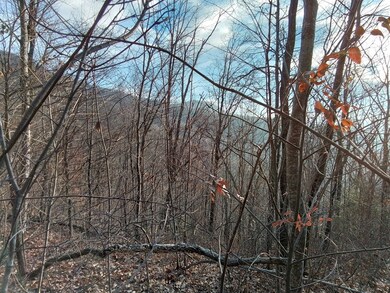 1500 Bear Mountain Rd, Murphy, NC 28906 - photo 4