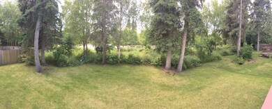 Back yard