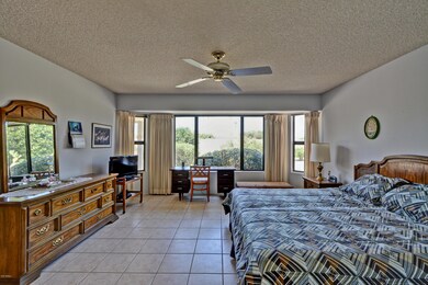 Large bay window in main bedroom