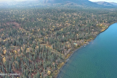 L2B4 Black Bear Rd, Aleknagik, AK 99555 - photo 2
