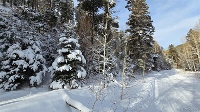 Lot 5540 Joy Rd, Fort Garland, CO 81133 - photo 3