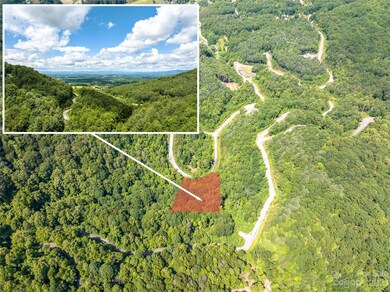 64 Mountain Magnolia Dr unit 51, Leicester, NC 28748 - photo 2