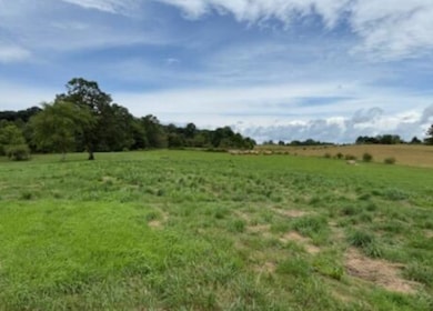 0 Stockton Rd, Jamestown, TN 38556 - photo 4