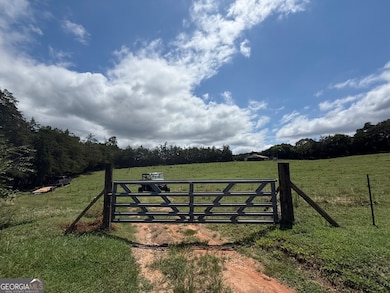 2004 Christian Rd, Dewy Rose, GA 30634 - photo 3