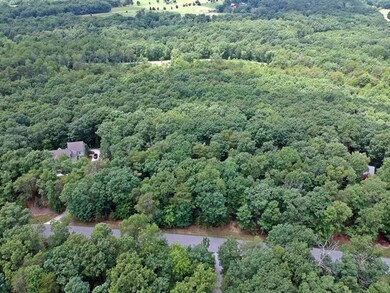 0 Stewart Ln unit 1301545, Rising Fawn, GA 30738 - photo 3