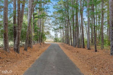 0 Pierce Rd, Logansport, LA 71049 - photo 2