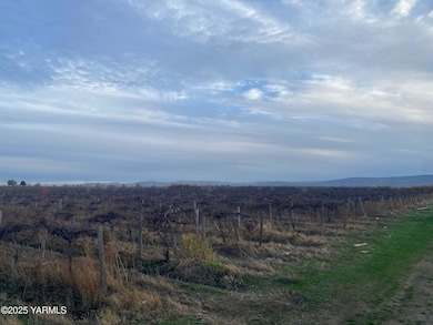 6263 Ashue Rd, Wapato, WA 98951 - photo 2