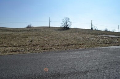 100 Palm Dr, Harrodsburg, KY 40330 - photo 4
