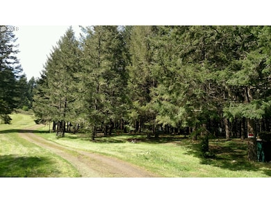 26885 SW Smithville Rd, Sheridan, OR 97378 - photo 6