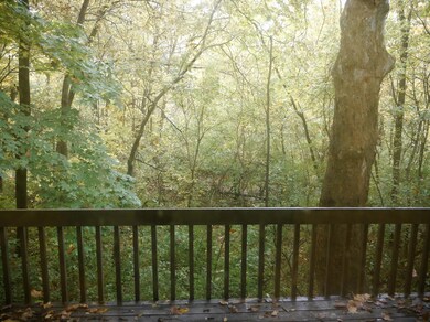 Gorgeous Views From Deck