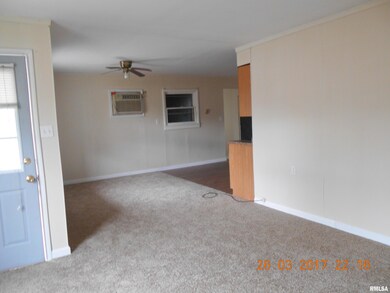 121 Midkiff St, Harrisburg, IL 62946 - photo 5