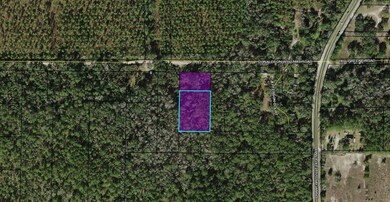 0 Donaldson Williams Rd unit 342586, Crawfordville, FL 32327 - photo 5