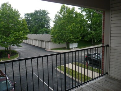 View From Balcony