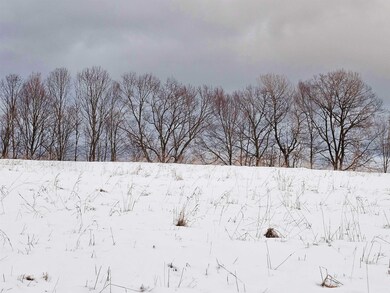 0 Brook Rd, Springfield, VT 05156 - photo 6