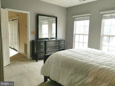 11306 Westbrook Mill Ln unit 204, Fairfax, VA 22030 - photo 4